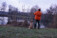 Apportieren einer Ente beim Hundef&uuml;hrerlehrgang der Hundeschule Freiburg amlandwasser