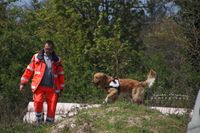 Rettungshundeausbildung bei der Johanniter Unfallhilfe